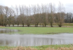 hoog water Dinkel